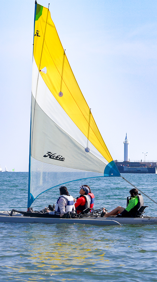 レギュラー会員